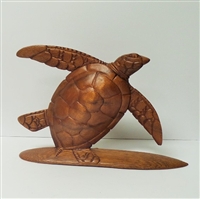Wood Turtle Display