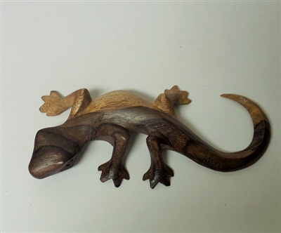 Medium Gecko Wood Display