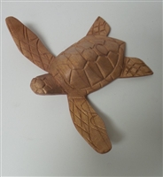 Medium Turtle Wood Display