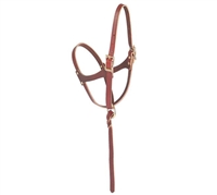 Leather Figure 8 Foal Halter for Sale!