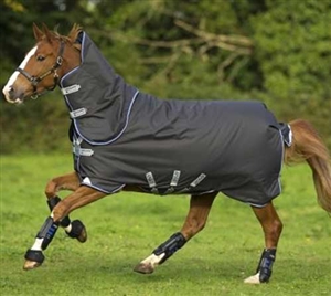 Horseware Ireland Amigo Bravo 12 Plus - (250g Medium) For Sale!