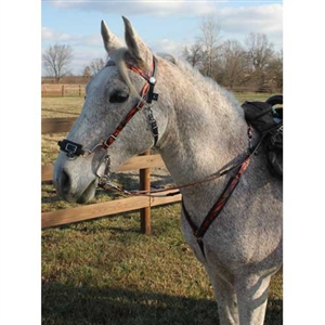 Camo Bridle, Breast Collar & Reins Set For Sale!