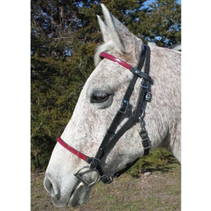 Beta Biothane Deluxe Add On Headstall & Halter Combo for Sale!