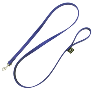 Beta Biothane Dog Leash for Sale!