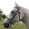 Beta Biothane English Bridle for Sale!