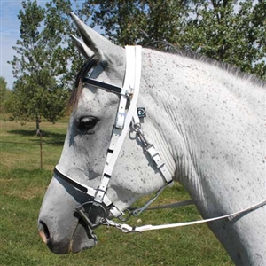 Full Halter Bridle with Add On Headstall for sale