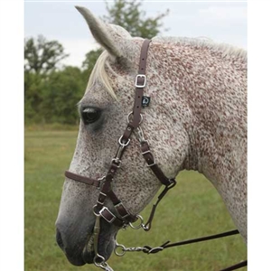 Beta Biothane Halter Bridle - No Brow for Sale!