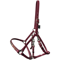 Navajo Designed Beta BioThane Halter Bridle - No Brow for Sale!