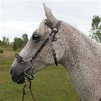 S Hackamore Bridle Combo For Sale!