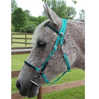 Traditional Trail Halter Bridles for sale