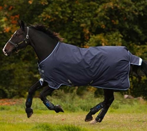 Horseware Ireland Amigo Bravo 12 Original - (250g Medium) For Sale!