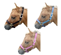 Nylon Double Buckle Mini Halter for Sale!