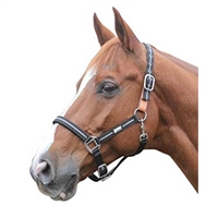 Roma Reflective Breakaway Halter For Sale!