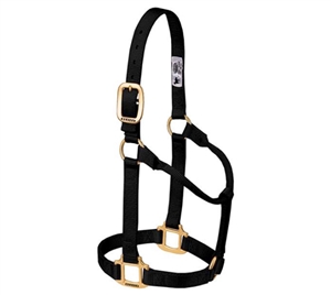 3/4" Weanling Nylon Halter for Sale!