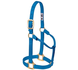 3/4" Yearling Nylon Halter for Sale!