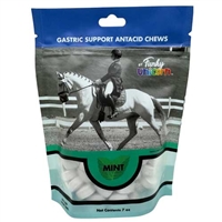 Funky Unicorn Gastric Support Antacid Chews For Sale!