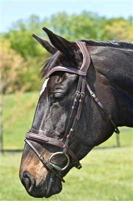 La Cense Flash Noseband Bridle