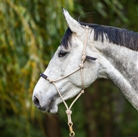 La Cense Training Halter