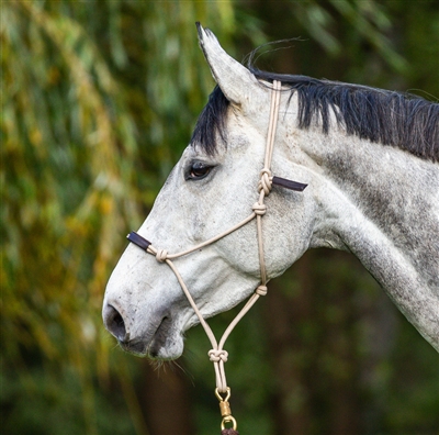 La Cense Training Halter