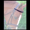 Fancy Browband