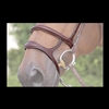 Double Noseband