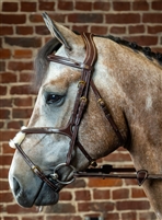 Dy'on Fancy Figure 8 Bridle With Brass