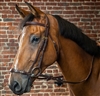 Dy'on Collection Drop Noseband Bridle