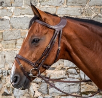Difference Collection Flash noseband bridle