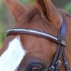 Dy'on Clincher Straight Browband