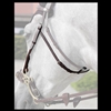 Dy'on Hackamore cheek pieces