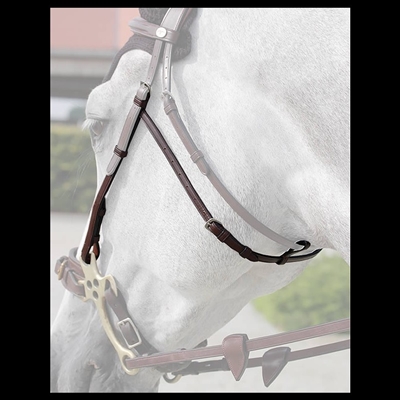 Dy'on Hackamore cheek pieces