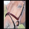 New English Collection Flash Noseband