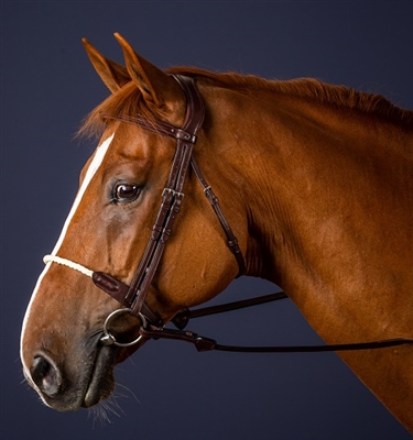 Dy'on Rope Noseband Bridle