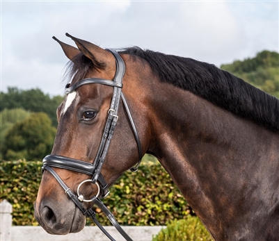 Dressage Collection Flat Leather Med Noseband With Flash