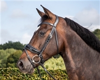 Dressage Collection flat leather crank flash noseband  bridle-SALE