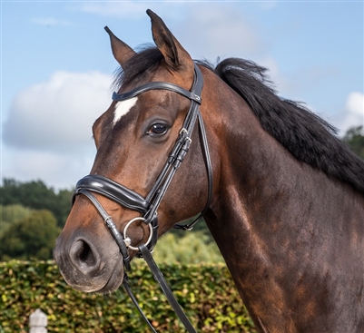 Dressage Collection Flat Leather Med Crank Noseband With Flash