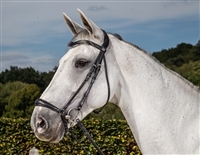 Dressage Collection Flat Leather Drop Noseband Bridle