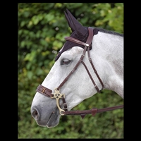 Dy'on Hackamore Bridle (noseband not included)