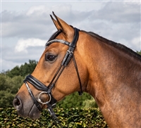 Dressage Collection Rolled Medium Crank Noseband With Flash