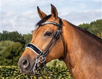 Dressage Collection Rolled large crank noseband double bridle