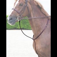 Standing Martingale