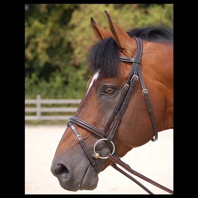 Working Collection "Classic" Flash Noseband Bridle