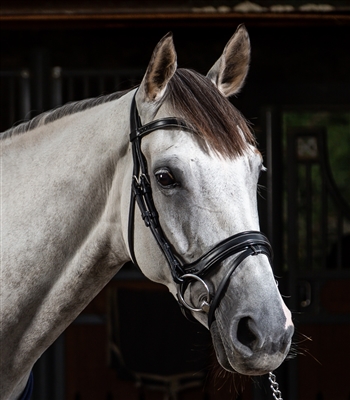 Working Fit Bridle