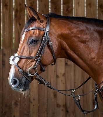 Working Collection "Classic" Figure 8 Noseband Bridle