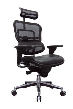 Ergohuman Mesh Leather Office Chair