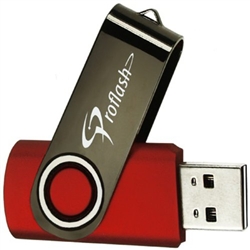 8GB USB Drive