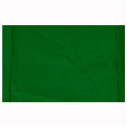 10x24 Chroma key Green