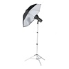 Aurora Camray Mini 200 Umbrella Kit