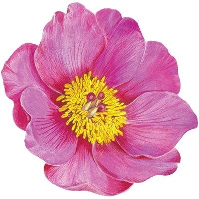 Victorian Peony Die-Cut Placemat - Caspari