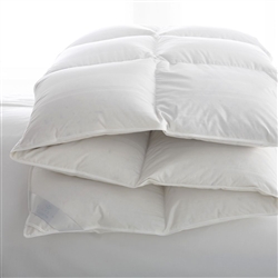 Lucerne Goose Down Comforter by Scandia Home